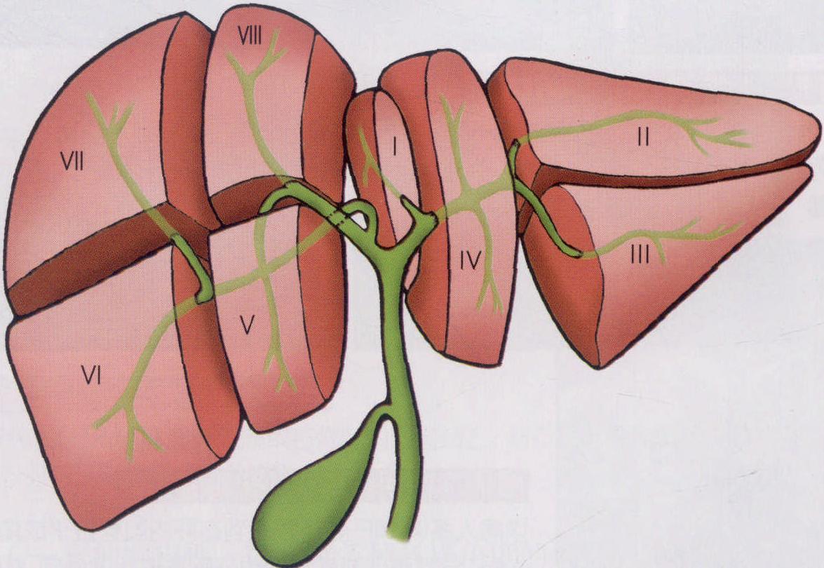 2. 解決疑難問(wèn)題的先進(jìn)技術(shù)